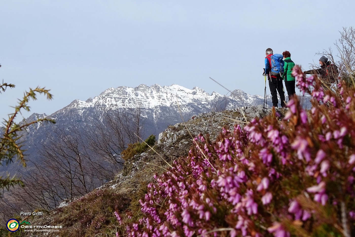 13 Erica carnea in fiore con vista in Resegone.JPG -                                